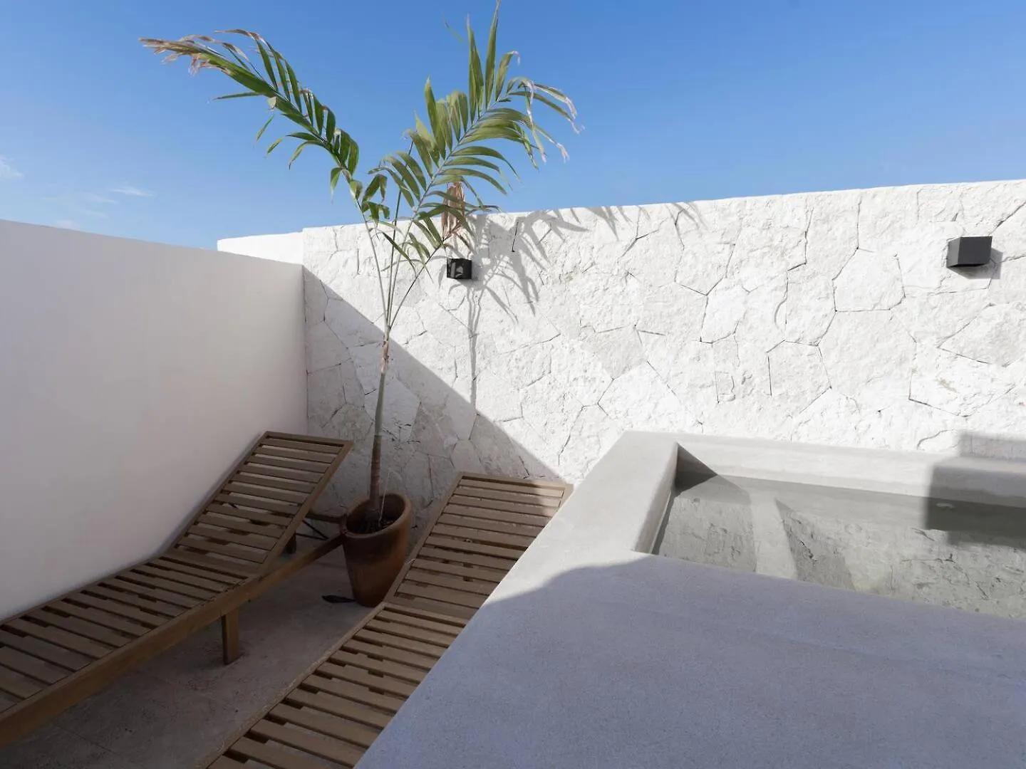 Selva Alta Penthouse Private Rooftop Tulum Daire