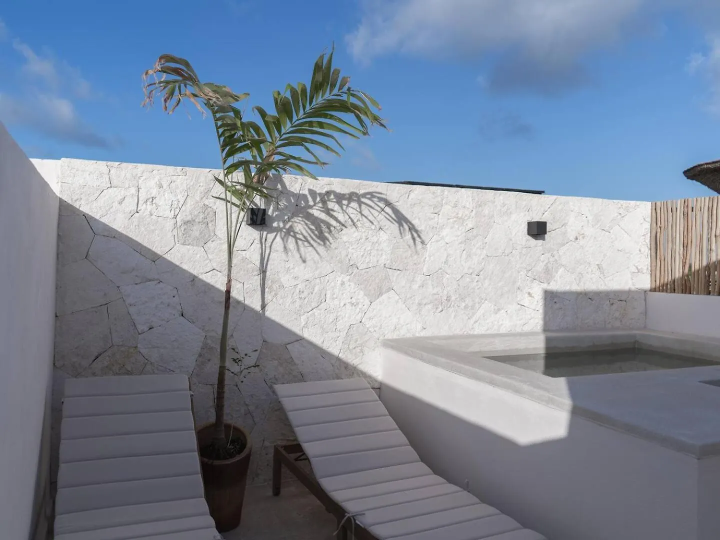 Selva Alta Penthouse Private Rooftop Tulum Meksika