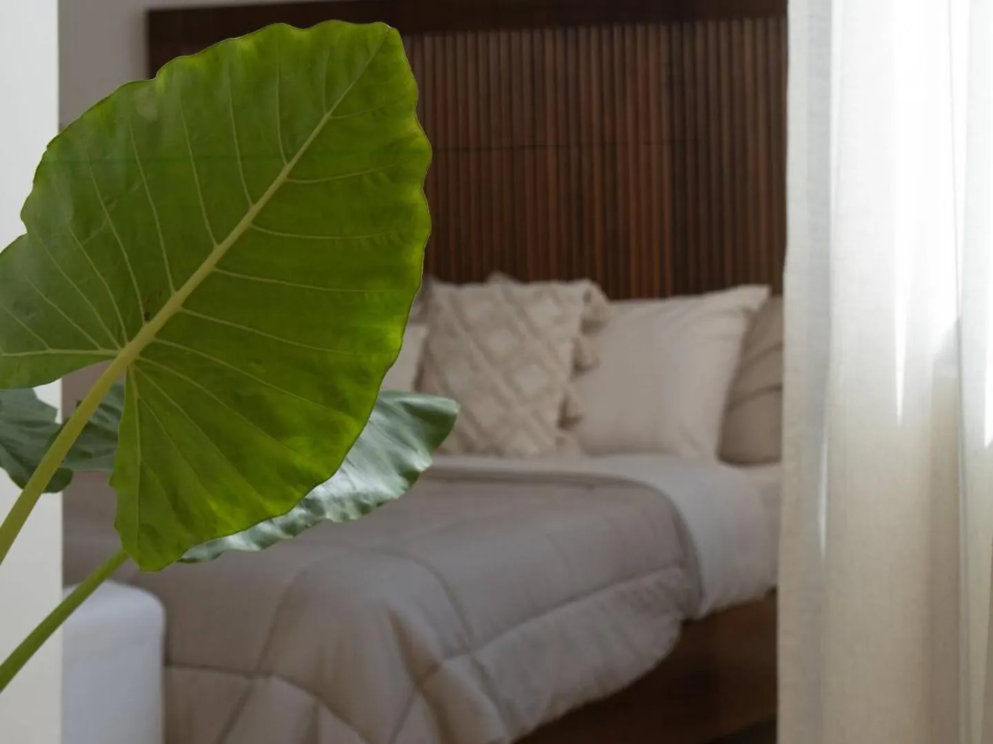 Appartement Selva Alta Penthouse Private Rooftop Tulum Pueblo Mexico